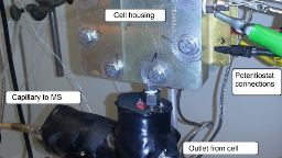 Using MS to Understand Effect of Hydrogen Impurities on Performance of PEM Fuel Cell