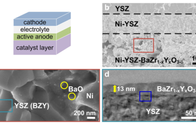 Direct Octane Fuel Cells: A Promising Power for Transportation