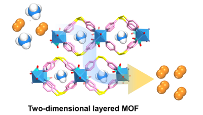 A Robust Two-dimensional Layered Metal-Organic Framework for Efficient Separation of Methane from Nitrogen