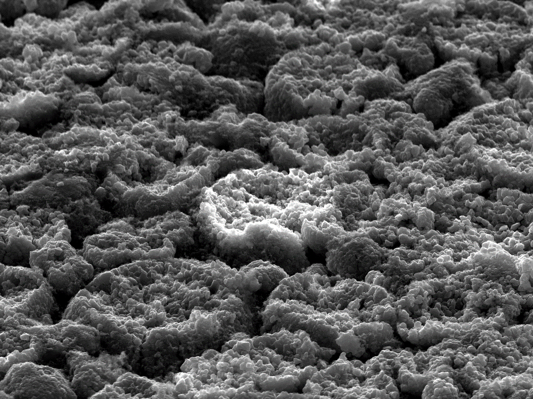 Lithium battery analysis The micrograph shows a 50μm fi eld of view of a cathode surface 