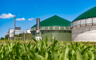 Biogas plant behind maize field