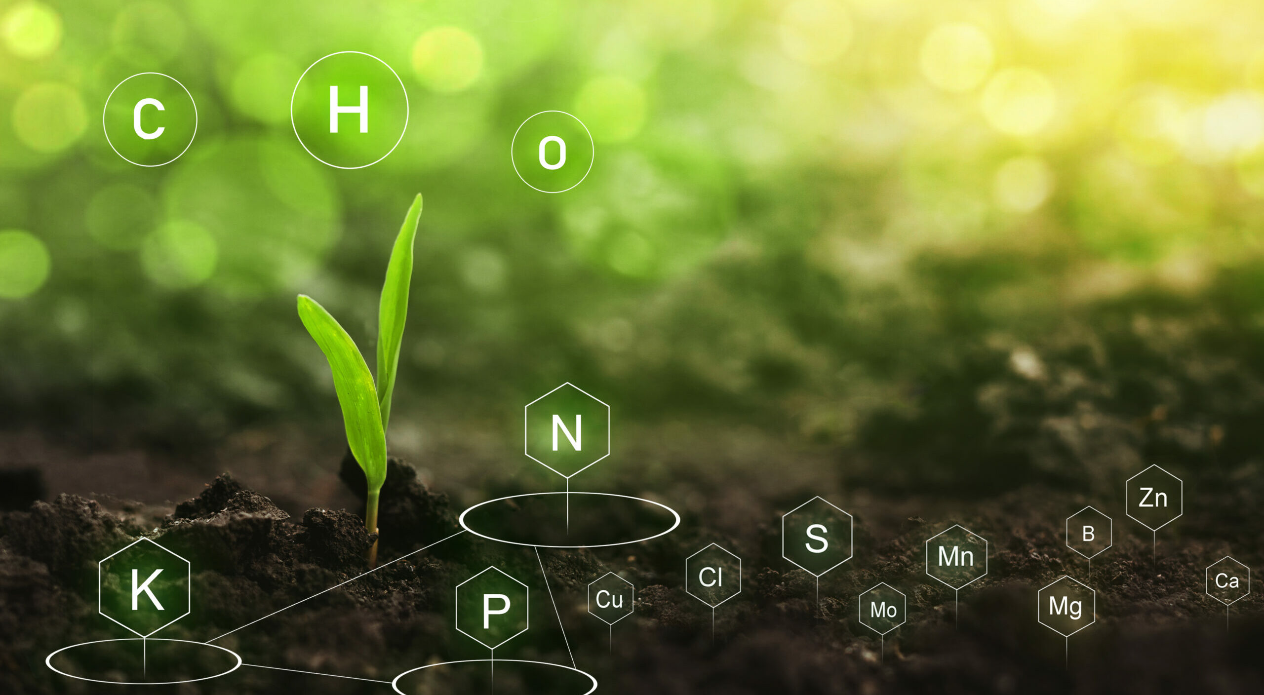 The-Importance-of-MIMS-in-Soil-Quality-Monitoring